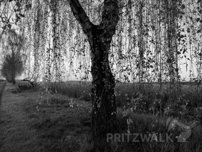 Foto: Stadt Pritzwalk (Bild vergrößern)