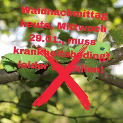 Fotocollage: Canva (Bild vergrößern)