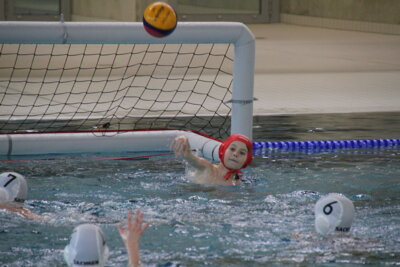 Foto zur Meldung: Wasserball Landespokal U14 Endrunde + Trainingsspieltag U12