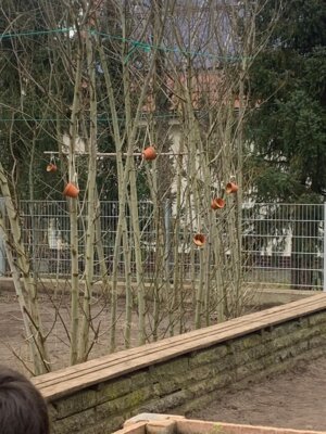 Vogelfuttertöpfchen