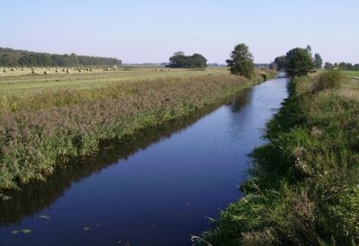 Verbandsschau Wasser- und Bodenverband "Untere Havel - Brandenburger Havel" (Bild vergrößern)
