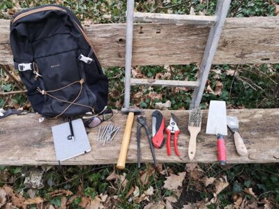 Foto zur Meldung: NVS NaturStiftung Südpfalz informiert