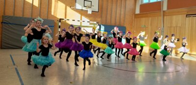 Meldung: Auftritt der SVE Glitzerfunken