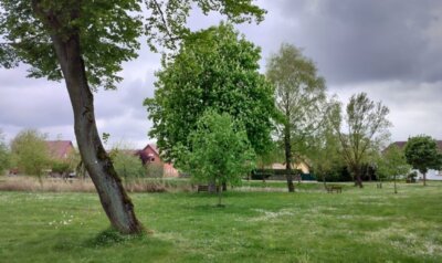 Digitaler 5-Uhr-Tee am 26. Februar: Das Dorf in der Landschaft – Konsequenzen von Eingriffen in die Natur & Umwelt