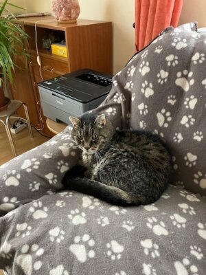 Rodney - vor 19 Jahren aus dem Tierheim Ladeburg ausgezogen (Bild vergrößern)