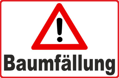 Verkehrshinweis zu Baumfällarbeiten entlang der B 169 nach Gröditz