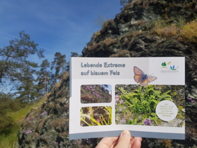 Aktualisierte Info-Broschüre zu Serpentinit-Standorten erschienen (Bild vergrößern)