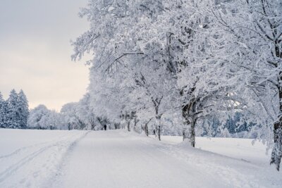 Der Winter ist da