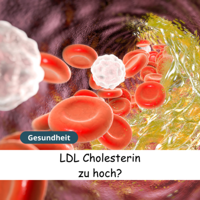 Meldung: LDL zu hoch? Erfahre, wie du es natürlich senken kannst!