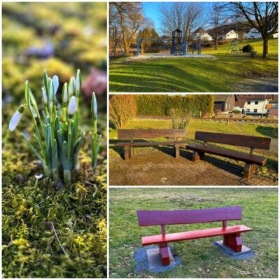 Meldung: Frühling zieht in Willmenrod ein!