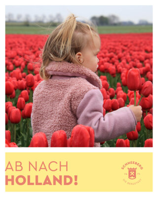 AB NACH HOLLAND! (Bild vergrößern)