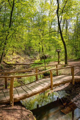 Foto zur Meldung: REGION: Naturparkroute Märkische Schweiz ausgezeichnet