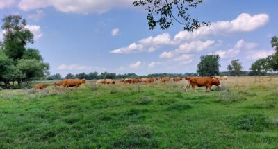 Meldung: ECO2SCAPE - Nachhaltige Landwirtschaft für mehr Biodiversität und Klimaschutz