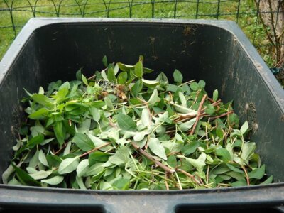 Die Biotonne wird im Landkreis Prignitz eingeführt. Das Angebot ist freiwillig. Foto: Denis Moreau/Pixabay (Bild vergrößern)