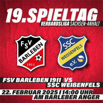 Heimspiel gegen Weißenfels (Bild vergr&ouml;&szlig;ern)
