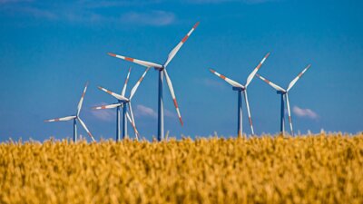 Symbolbild von Pixabay - mehrere Windkrafträder in einem Getreidefeld
