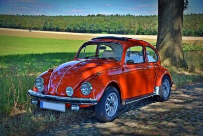 Foto zur Meldung: Die KFZ-Zulassungsbehörde informiert: Terminbuchungen, Wunschkennzeichenreservierungen und i-KFZ-Online-Vorgänge