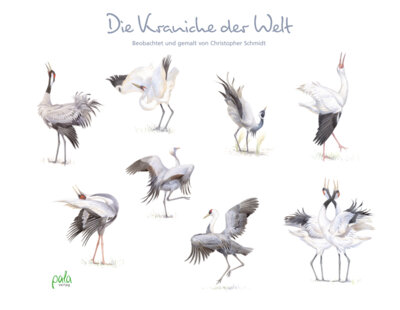 Christopher Schmidt - Die Kraniche der Welt