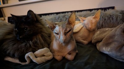 Mini und Bommel (Bild vergrößern)