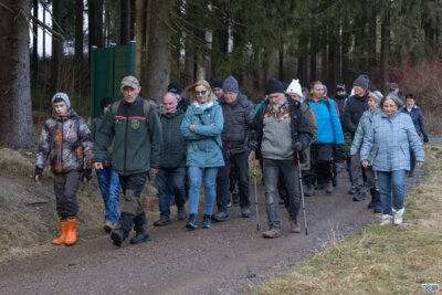 Wald-Wanderung mit dem Revierförster (Bild vergrößern)