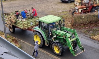 Entsorgung Weihnachtsbäume (Bild vergrößern)