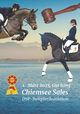 Meldung: Chiemsee Sales: Auktion, Ambiente, Ausnahmetalente