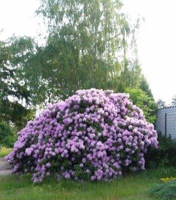 Foto: Marianne Fischer (Bild vergrößern)