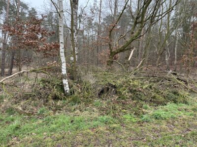 Foto zur Meldung: Erneute illegale Entsorgung von Gartenabfällen im Hainholz
