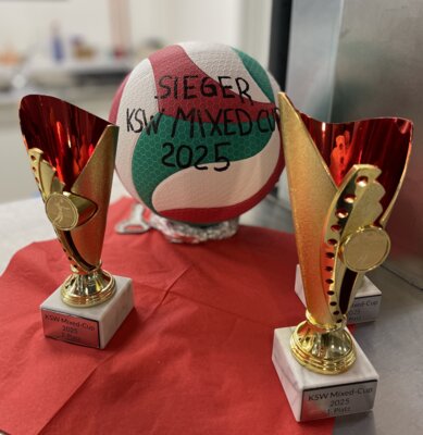 Rückblick auf das Volleyball-Turnier (Bild vergrößern)