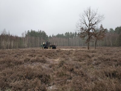 LPV Nordwestsachsen e.V. setzt Artenschutzmaßnahmen im Authausener Wald um (Bild vergrößern)