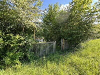 Sommerakademie und Kinderakademie der KVHS Saarpfalz-Kreis – Kreative Auszeit in den Sommerferien für Jung und Alt