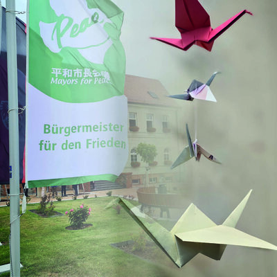 Kraniche für den Frieden (Bild vergr&ouml;&szlig;ern)