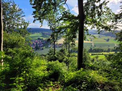 Meldung: 1. Juni 2025: Wander- und Walkingtag mit Stempelstelle, MTB-Tour und Wander-Rallye für Kinder