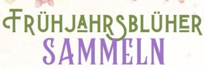 Frühjahrsblüher SAMMELN