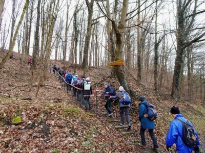 Grimma nördlicher Rundweg (Bild vergrößern)
