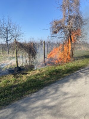 Erneuter Vandalismus und Brandstiftung am Schulzentrum Steinkirchen (Bild vergrößern)