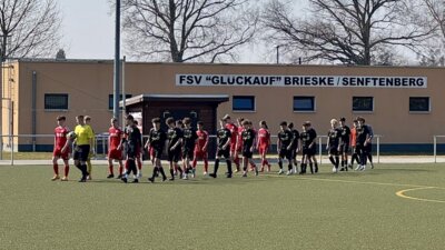 #FSVC1 zieht ins Landespokal-Viertelfinale ein (Bild vergrößern)