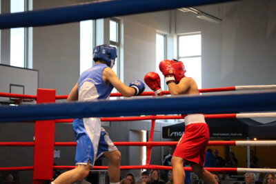 Finale der Landesmeisterschaften im Boxen (Bild vergrößern)
