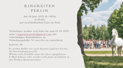Foto zur Meldung: Ringreiten in Perlin