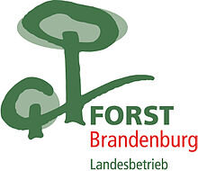 Mitteilung des Landesbetriebes Forst Brandenburg