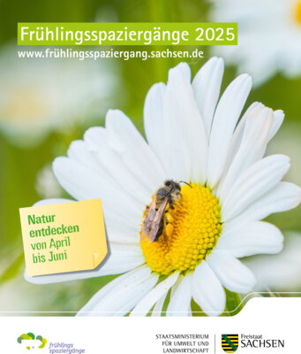 Raus in die Natur - Frühlingsspaziergänge (Bild vergrößern)