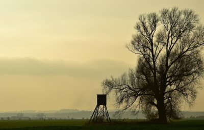 Meldung: Erfolgreiche Mitgliederversammlung der Jagdgenossenschaft Köthensdorf 2025