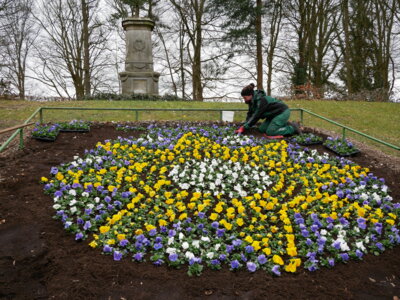 Foto zur Meldung: Bunte Blumen für die Rolandstadt - Stadtwappen am Stadtpark wieder bepflanzt