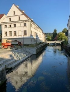 Trauerweide am großen Schlossplatz wurde gefällt (Bild vergr&ouml;&szlig;ern)