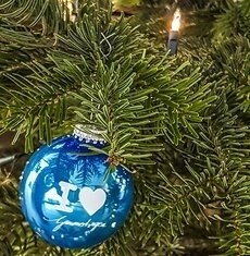 Christbaumsammlung durch den Jugendclub „Häusle“ Harthausen nach Dreikönig (Bild vergr&ouml;&szlig;ern)