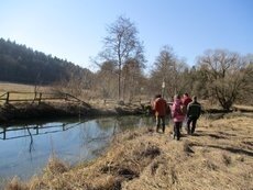 Gewässerschau an der Lauchert - Zweiter Besichtigungstermin (Bild vergr&ouml;&szlig;ern)