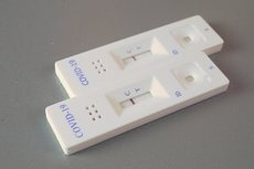 Kostenlose Bürgerschnelltests in Gammertingen (Bild vergr&ouml;&szlig;ern)
