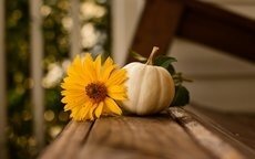 Herbst-Krämermarkt in Gammertingen (Bild vergr&ouml;&szlig;ern)