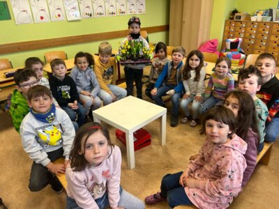 Meldung: Frühblüher in Klasse 1
