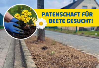 Meldung: Beete-Patenschaften gesucht!